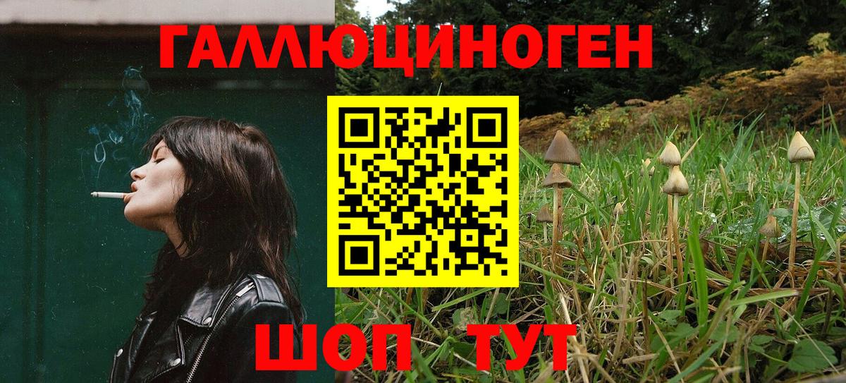 Псилоцибиновые грибы прущие грибы Осинники
