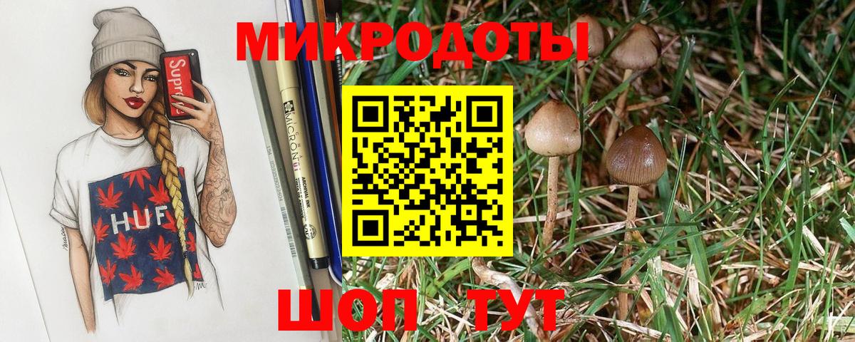 Осинники  Галлюциногенные грибы мицелий  Вход с VPN 