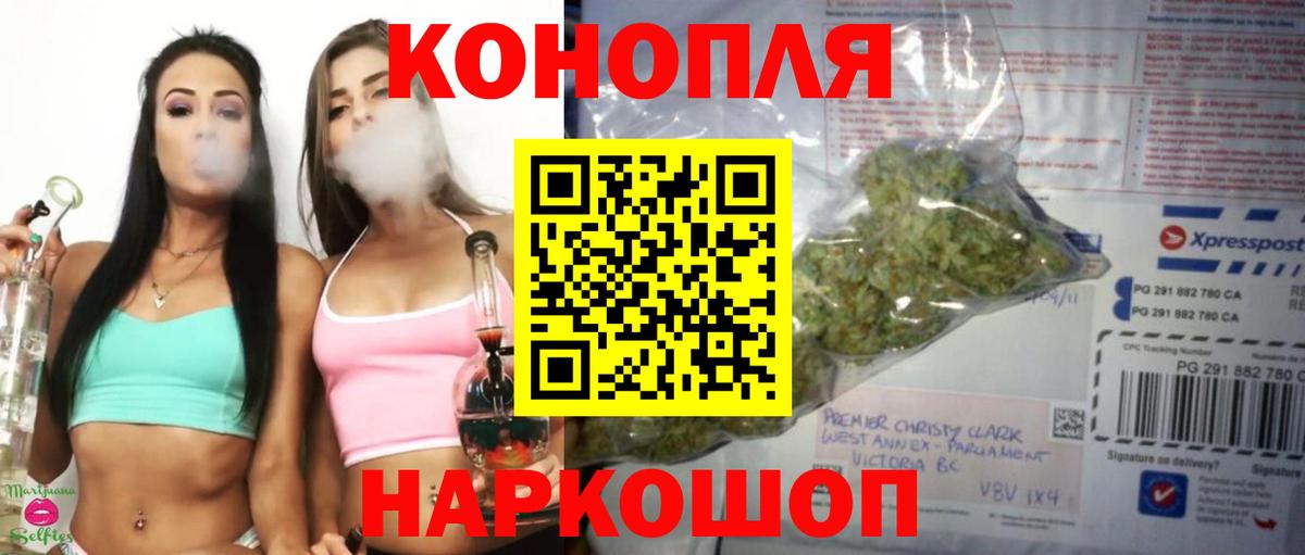 Осинники  Бошки марихуана сатива  Каннабис семена  Вход с VPN 